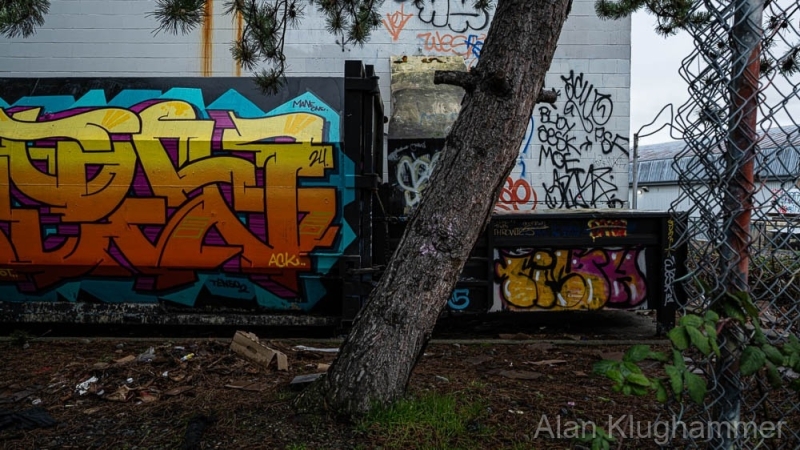 AlanKlughammer.com_Exquimalt-70675