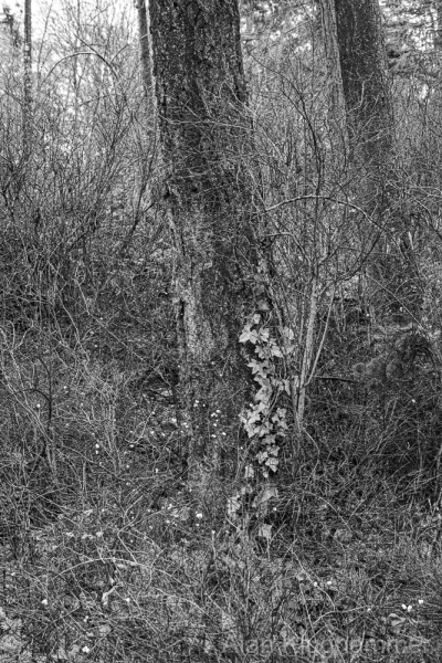 AlanKlughammer.com_untitled-shoot-70767