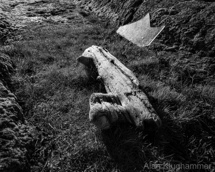 AlanKlughammer.com_20250111-_AZ70793