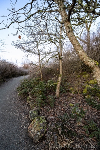 AlanKlughammer.com_20250119-_AZ70811