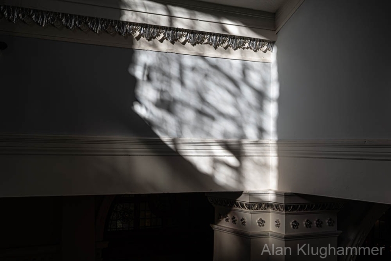 AlanKlughammer.com_20250124-_AZ70980