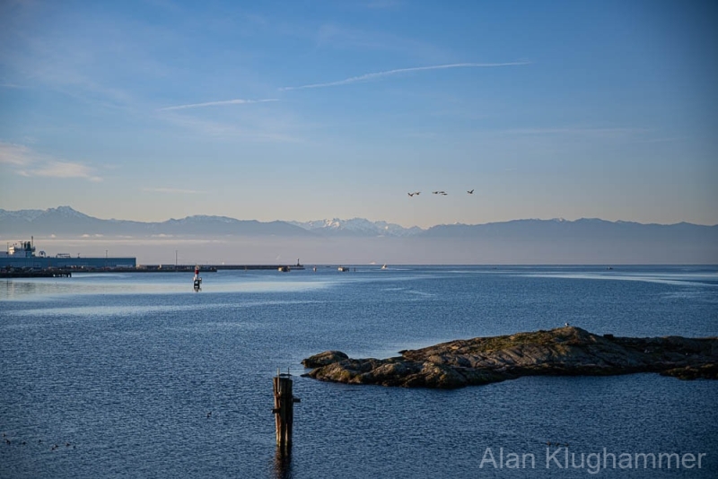 AlanKlughammer.com_20250126-_AZ71061