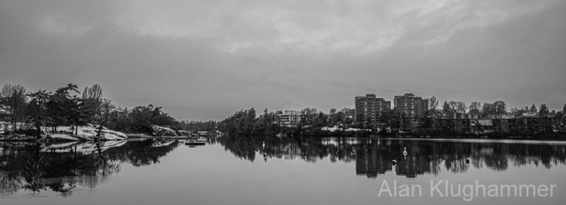 AlanKlughammer.com_20250202-_AZ71162
