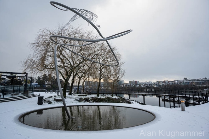 AlanKlughammer.com_20250202-_AZ71189