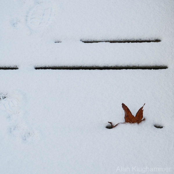 AlanKlughammer.com_20250202-_AZ71194