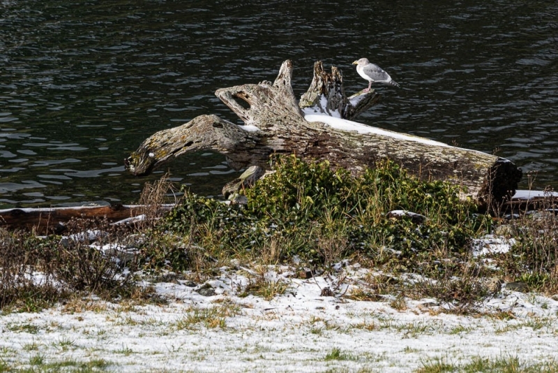 AlanKlughammer.com_20250202-_AZ71223