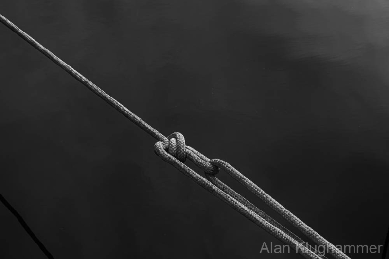 AlanKlughammer.com_20250301-_AZ71444