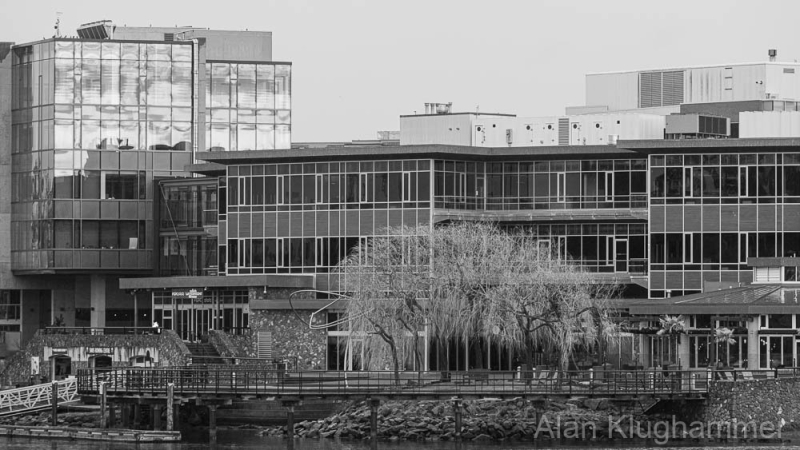 AlanKlughammer.com_20250308-_AZ71514