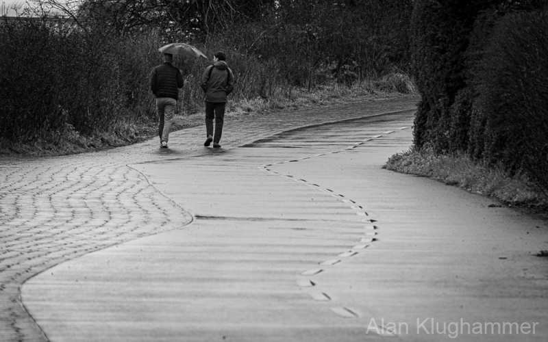 AlanKlughammer.com_20250308-_AZ71516