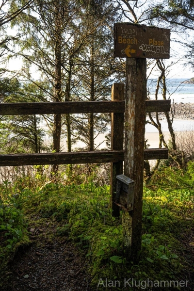 When the going gets tough, the tough to to the beach