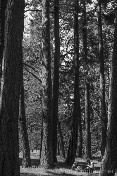 AlanKlughammer.com_20250413-_AZ72905