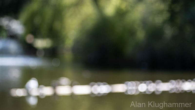 AlanKlughammer.com_20250413-_AZ72925