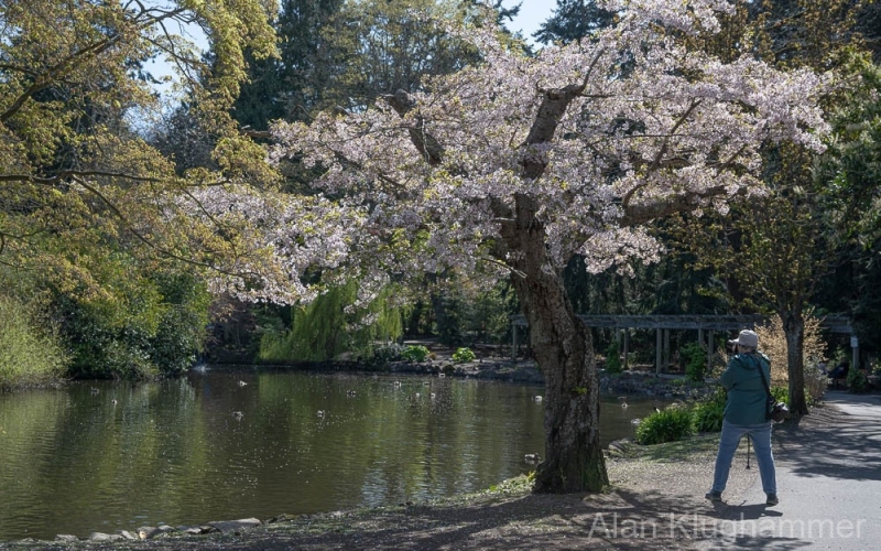AlanKlughammer.com_20250413-_AZ72933