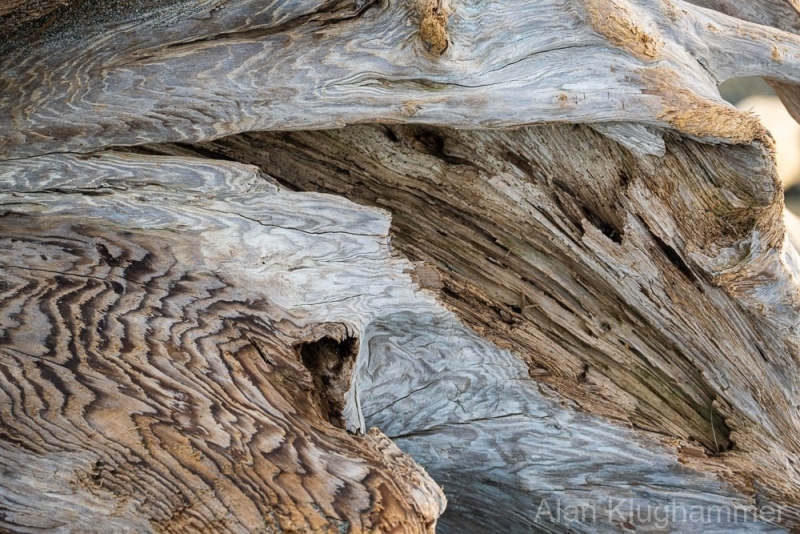 AlanKlughammer.com_20250419-_AZ73116