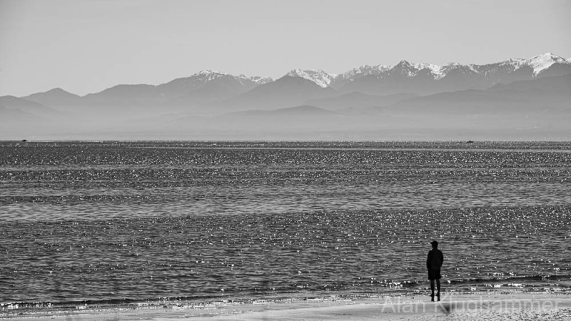 AlanKlughammer.com_20250418-_AZ73073