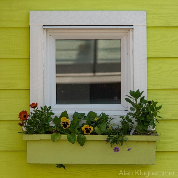 AlanKlughammer.com_20250426-_8506069