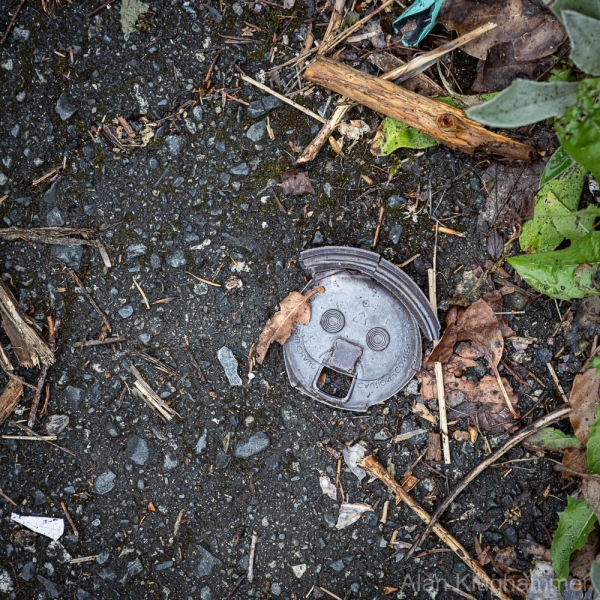 Litter-al Surprise