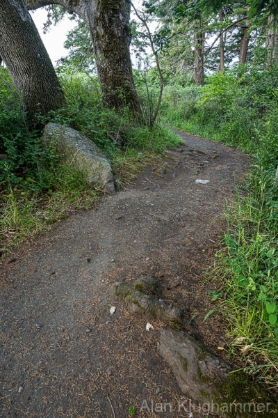 AlanKlughammer.com_20250601-_AZ73299