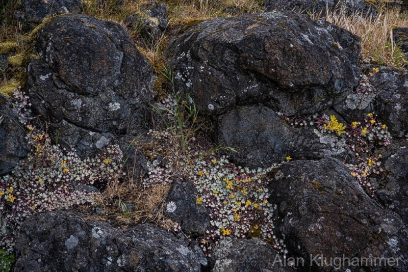 AlanKlughammer.com_20250601-_AZ73308