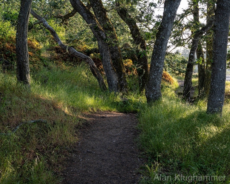 AlanKlughammer.com_20250601-_AZ73314