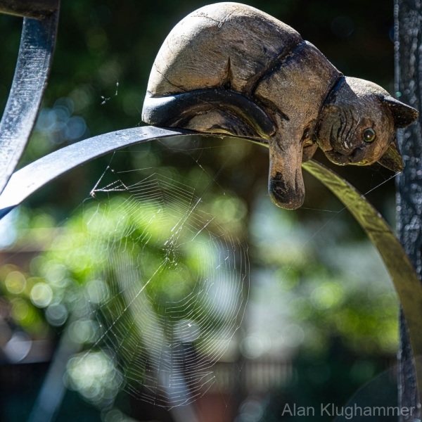 AlanKlughammer.com_20250712-_AZ73589
