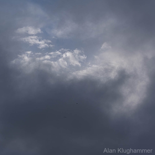 AlanKlughammer.com_20251230-_AZ75245