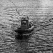 AlanKlughammer.com_20260214-_AZ75611