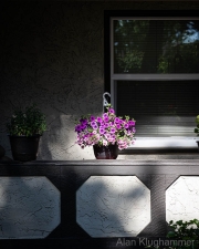 AlanKlughammer.com_20260522-_AZ77583