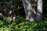 AlanKlughammer.com_20260522-_AZ77590