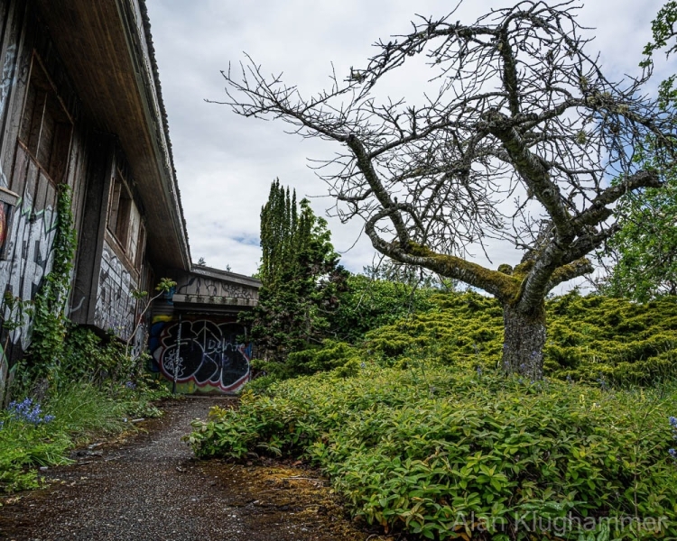AlanKlughammer.com_20250510-20250510-_AZ73196-2