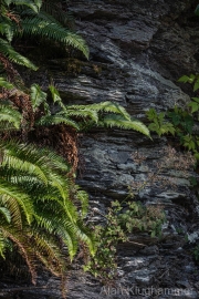 AlanKlughammer.com_20260815-_AZ78361