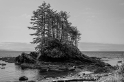 AlanKlughammer.com_20260815-_AZ78380