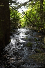 AlanKlughammer.com_20260815-_AZ78402