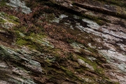 AlanKlughammer.com_20260815-_AZ78346