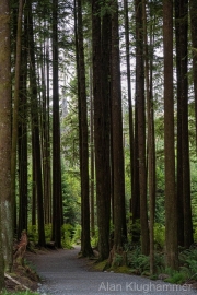 AlanKlughammer.com_20260815-_AZ78338