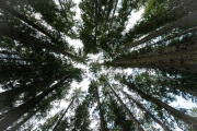 AlanKlughammer.com_20260815-_AZ78356