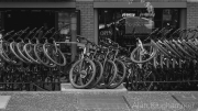 AlanKlughammer.com_20260830-_AZ78536