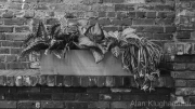 AlanKlughammer.com_20260830-_AZ78538