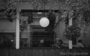 AlanKlughammer.com_20260830-_AZ78555