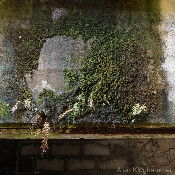 AlanKlughammer.com_20220705-_8500767