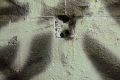 AlanKlughammer.com_20220705-_8500763