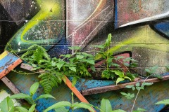 AlanKlughammer.com_20220705-_8500769