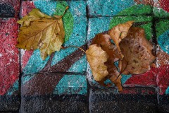 AlanKlughammer.com_20221122-_AK50607