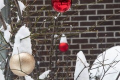 AlanKlughammer.com_20221220-_AK50669