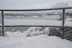 AlanKlughammer.com_20221220-_AK50699