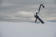 AlanKlughammer.com_20221220-_AK50738