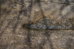 AlanKlughammer.com_20160225-_AKP0618