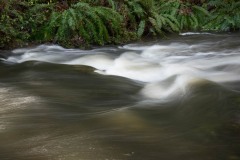AlanKlughammer.com_20160225-_AKP0646