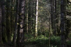 AlanKlughammer.com_20160225-_AKP0665