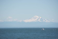 AlanKlughammer.com_20160729-_AKP2744